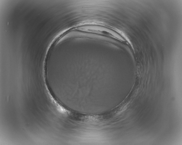 X0000071760995200607220005