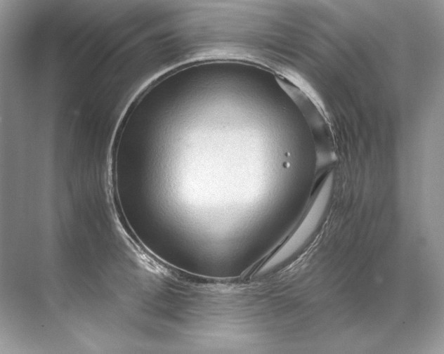 X0000071760996200607220005