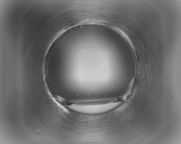 X0000071760997200607220005