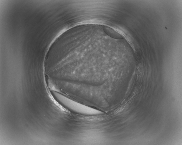 X0000071760998200607220005