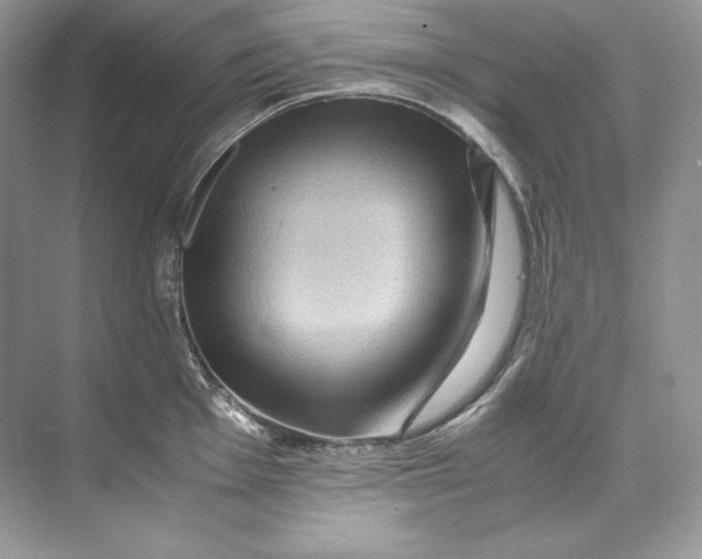 X0000071761001200607220005