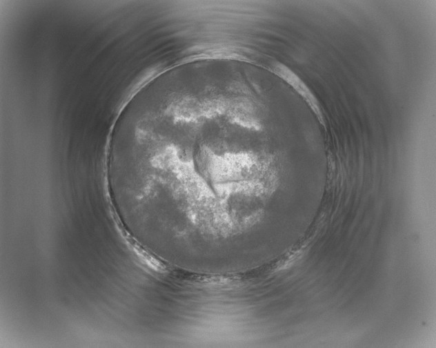 X0000071761002200607220005