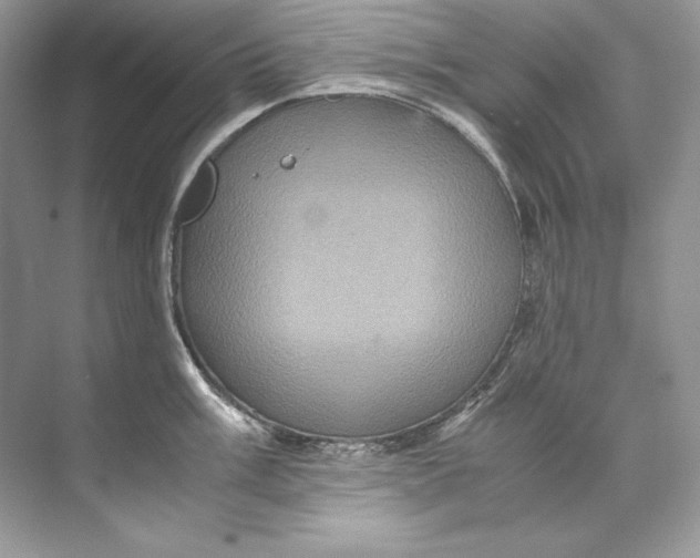 X0000071761003200607220005