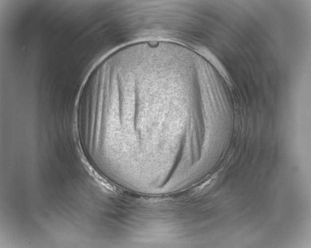 X0000071761004200607220005