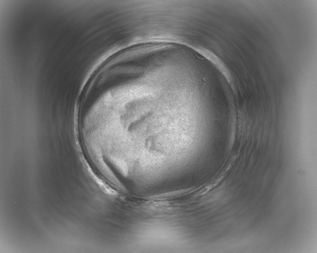 X0000071761006200607220005