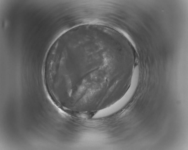 X0000071761007200607220005