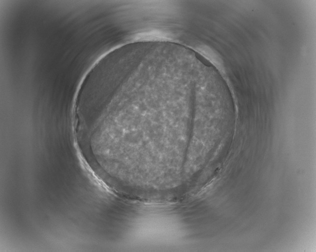 X0000071761008200607220005