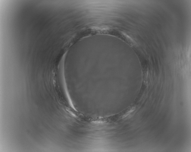 X0000071761010200607220004