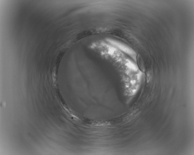 X0000071761011200607220004