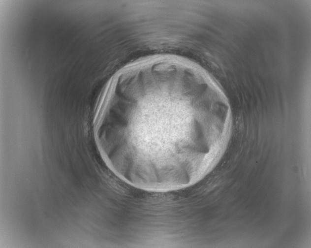 X0000071761012200607220004