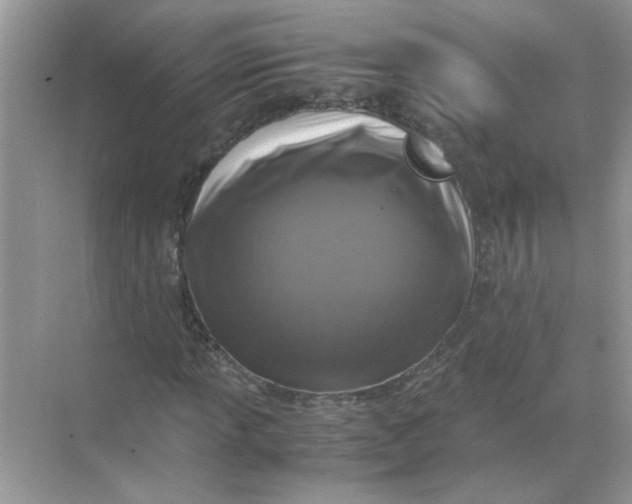 X0000071761013200607220004