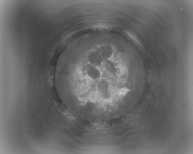 X0000071761015200607220004