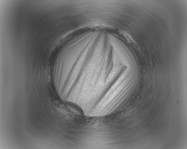 X0000071761016200607220004