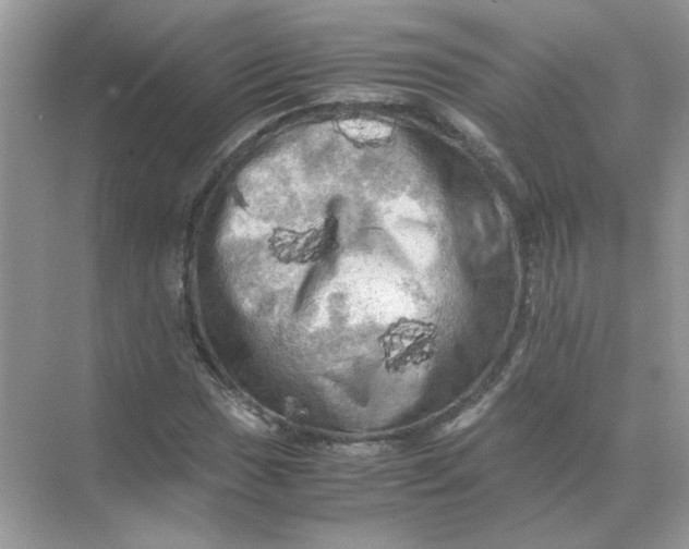 X0000071761017200607220004