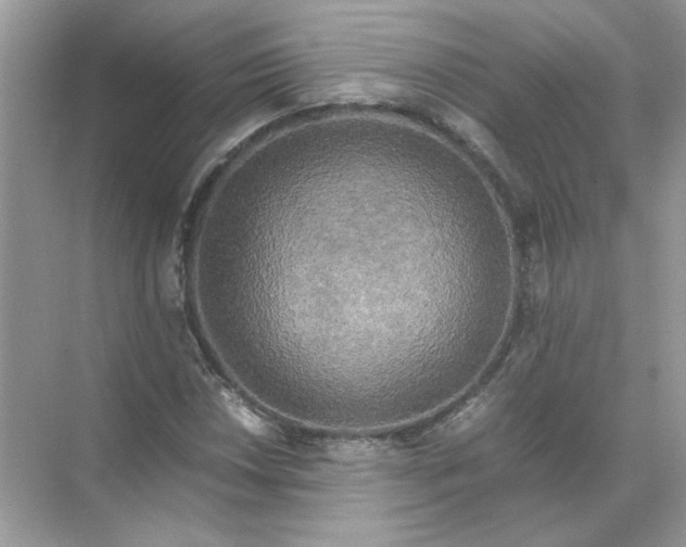 X0000071761018200607220004