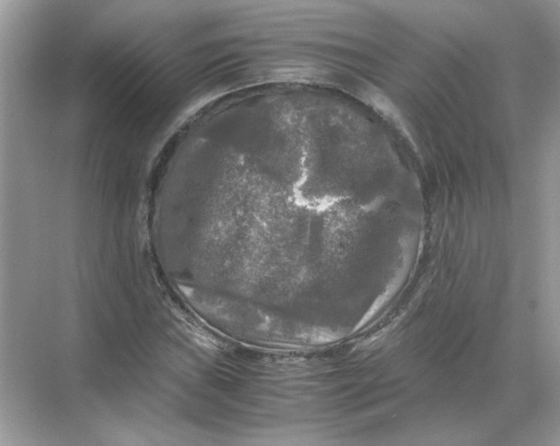 X0000071761019200607220004