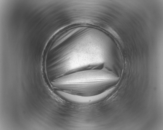 X0000071761020200607220004