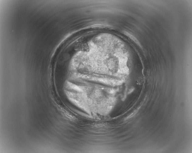 X0000071761021200607220004