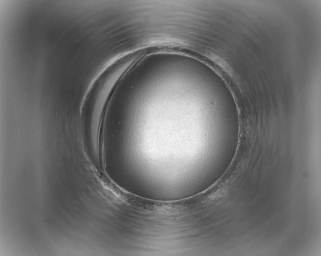 X0000071761022200607220004