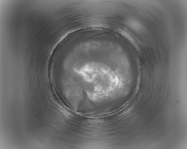 X0000071761023200607220004