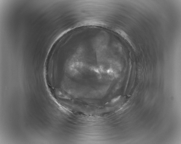 X0000071761024200607220004