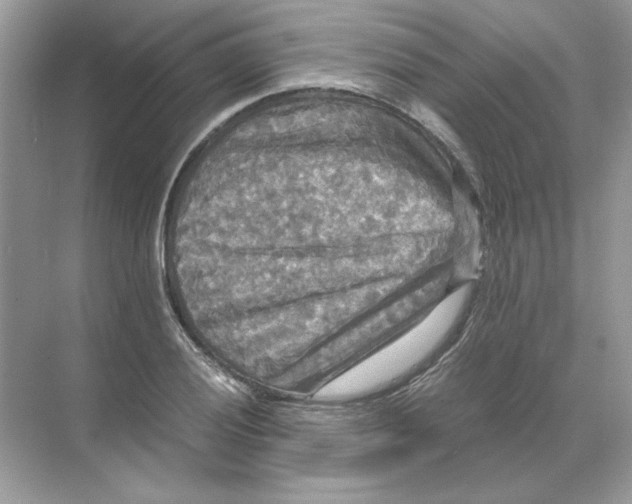 X0000071761028200607220004