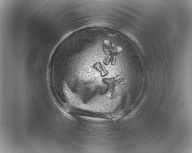 X0000071761029200607220004