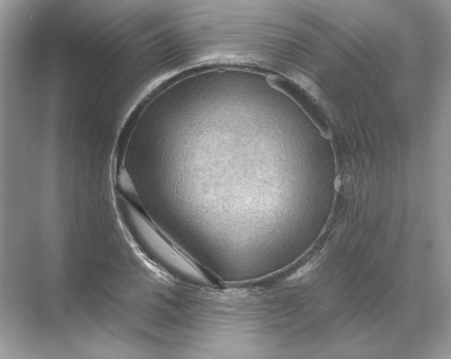 X0000071761030200607220004