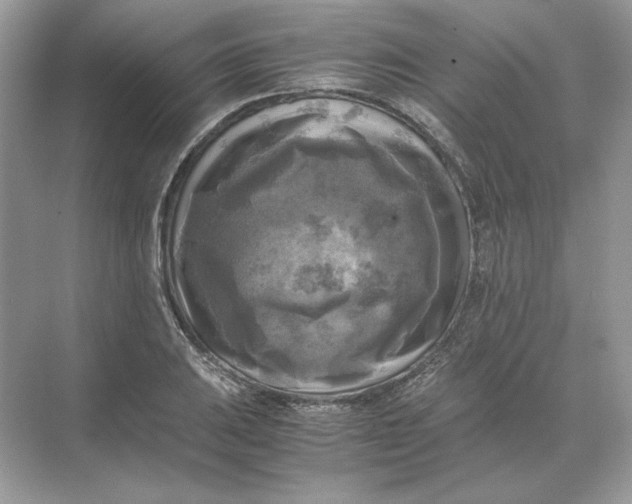 X0000071761031200607220004