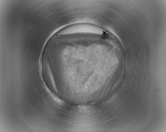 X0000071761032200607220004