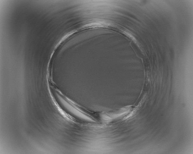 X0000071761034200607220004