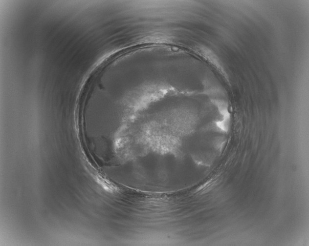 X0000071761035200607220004