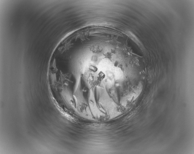 X0000071761036200607220004