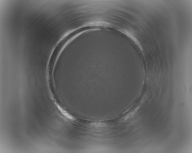 X0000071761037200607220004