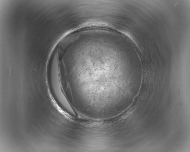 X0000071761038200607220004