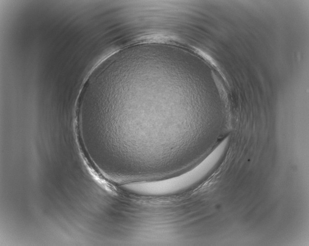 X0000071761042200607220004