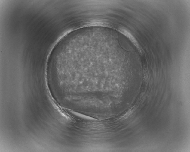 X0000071761043200607220004