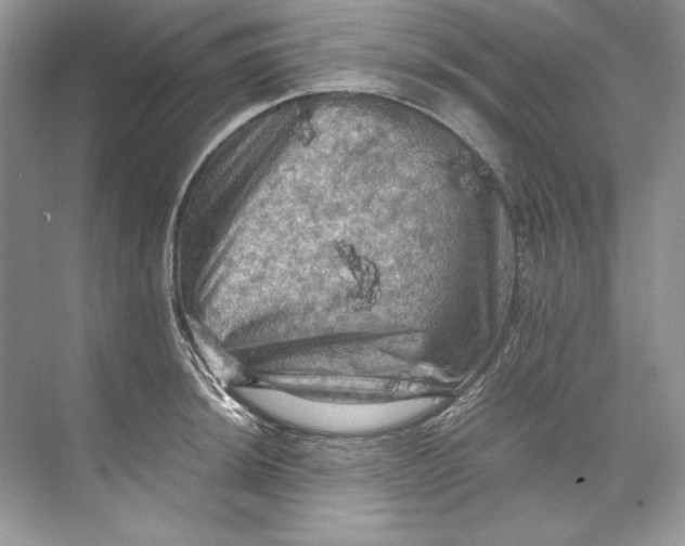 X0000071761044200607220004