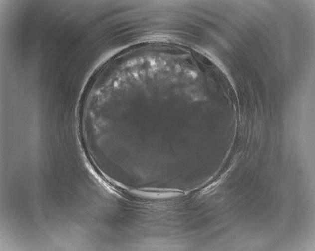 X0000071761045200607220005