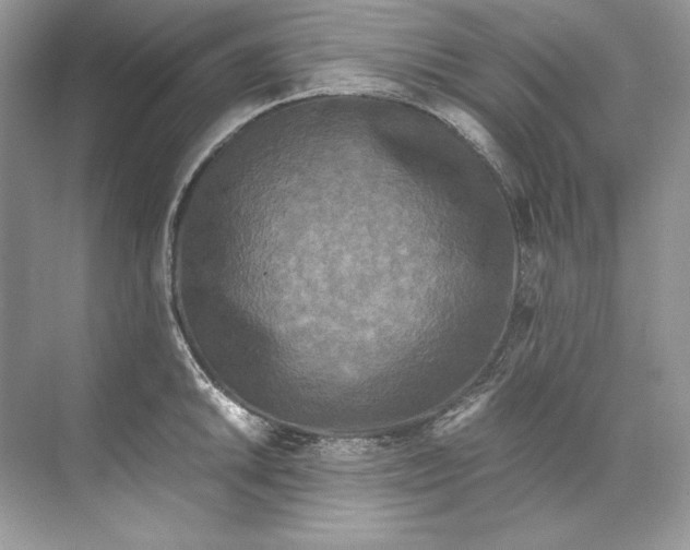 X0000071761046200607220005