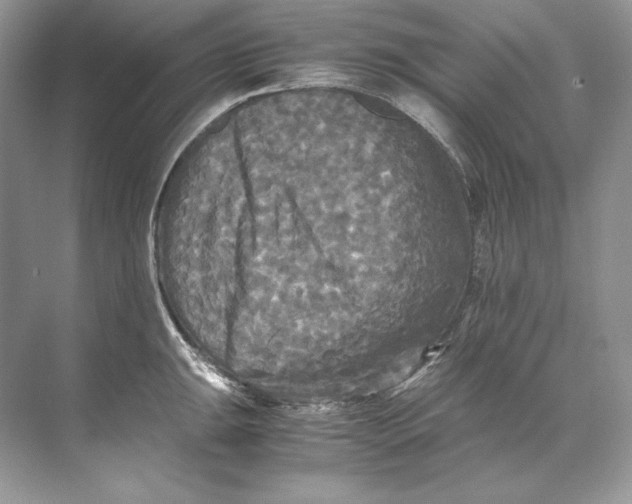 X0000071761047200607220005