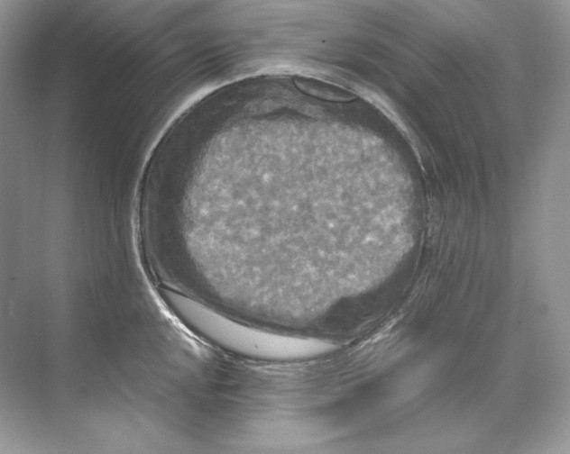 X0000071761048200607220005