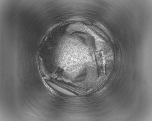 X0000071761049200607220005