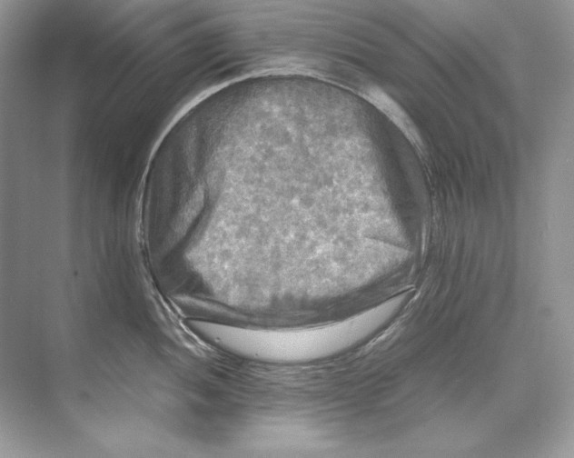 X0000071761052200607220005