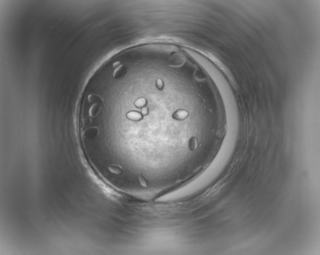 X0000071761054200607220005