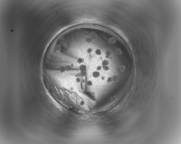 X0000071761056200607220005