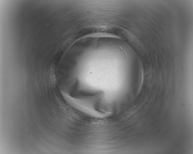 X0000071761058200607220004