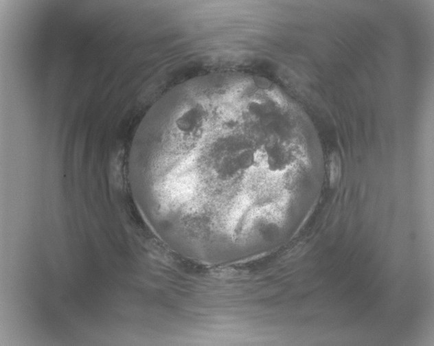 X0000071761059200607220004