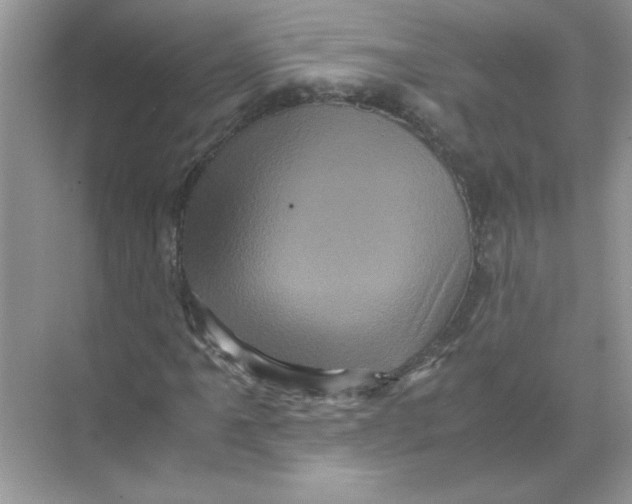 X0000071761061200607220004