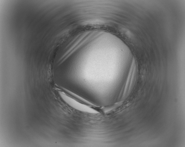 X0000071761062200607220004